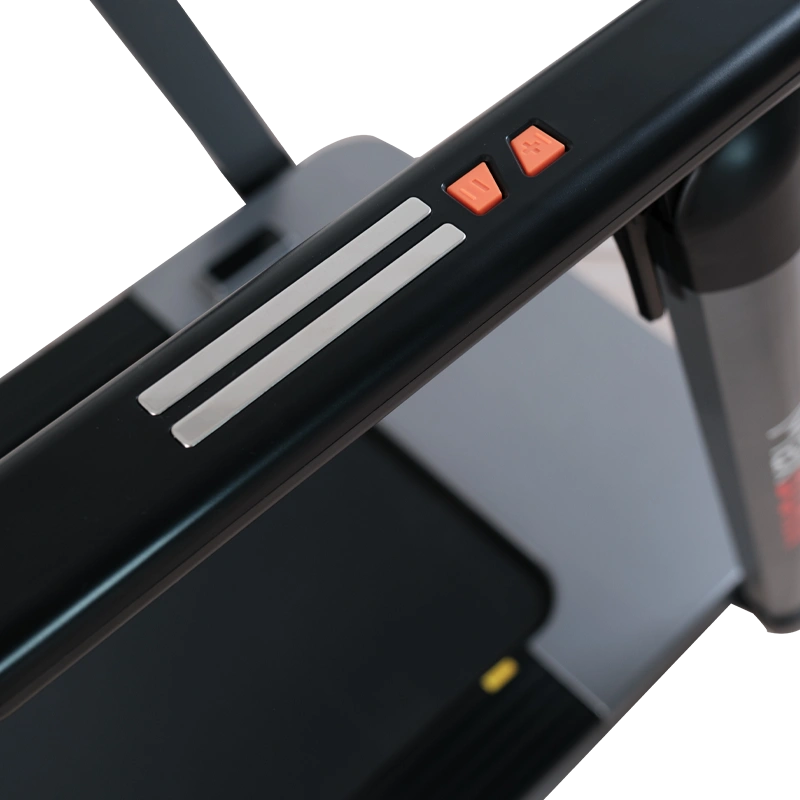 Беговая дорожка Ergonova MaxBurn Pro 2